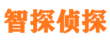 兴平侦探公司